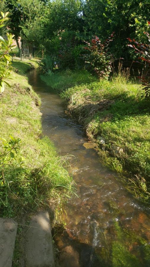 Gite A La Petite Fontaine-Plain Pied-Maison Alsacienne Renovee Avec Passion-4 Pers-4Nuitees Minimum Langensoultzbach 외부 사진