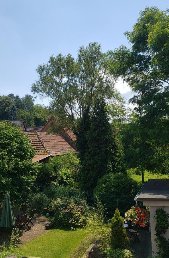 Gite A La Petite Fontaine-Plain Pied-Maison Alsacienne Renovee Avec Passion-4 Pers-4Nuitees Minimum Langensoultzbach 외부 사진