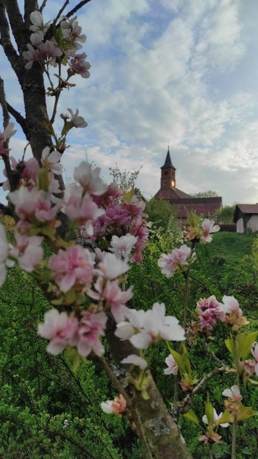 Gite A La Petite Fontaine-Plain Pied-Maison Alsacienne Renovee Avec Passion-4 Pers-4Nuitees Minimum Langensoultzbach 외부 사진
