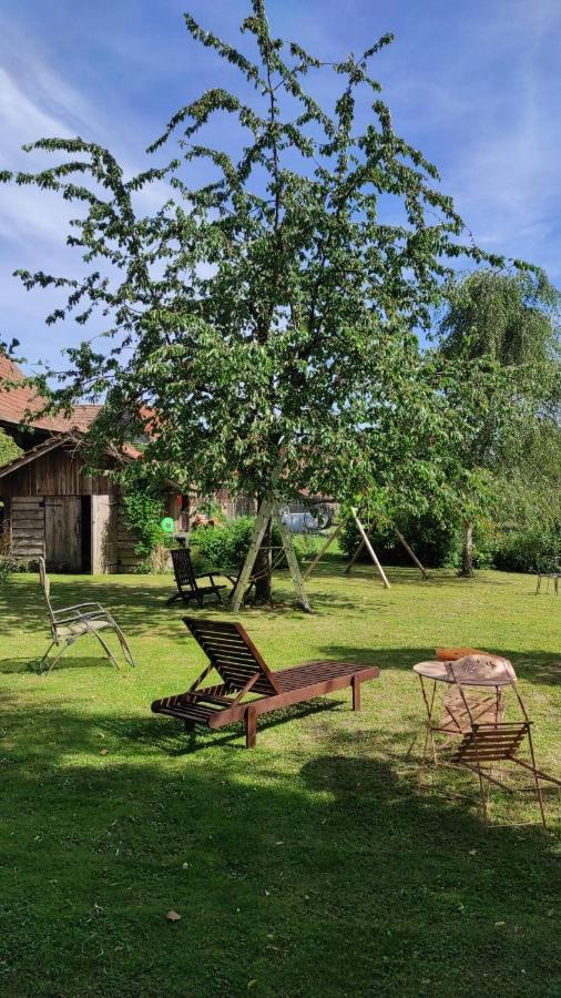Gite A La Petite Fontaine-Plain Pied-Maison Alsacienne Renovee Avec Passion-4 Pers-4Nuitees Minimum Langensoultzbach 외부 사진