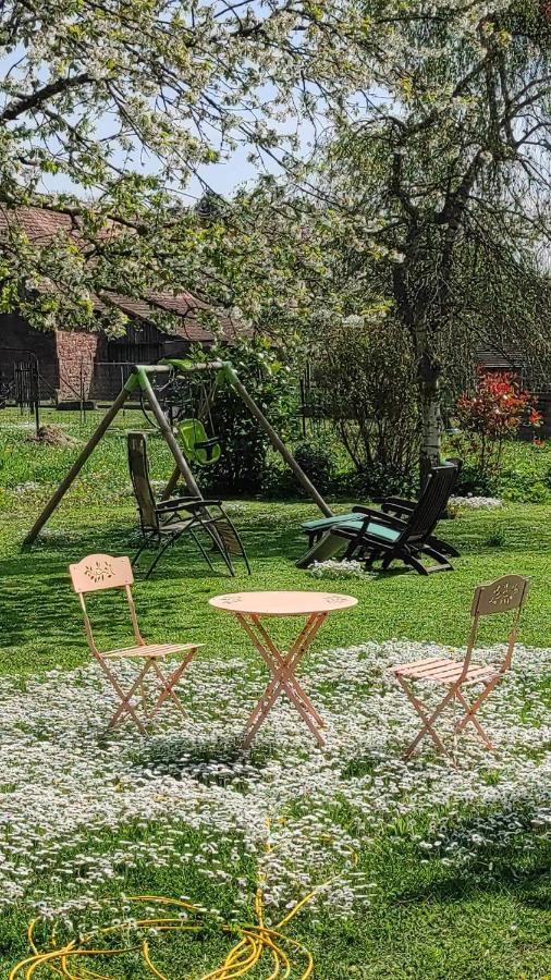 Gite A La Petite Fontaine-Plain Pied-Maison Alsacienne Renovee Avec Passion-4 Pers-4Nuitees Minimum Langensoultzbach 외부 사진