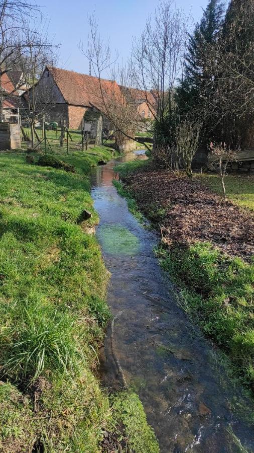 Gite A La Petite Fontaine-Plain Pied-Maison Alsacienne Renovee Avec Passion-4 Pers-4Nuitees Minimum Langensoultzbach 외부 사진